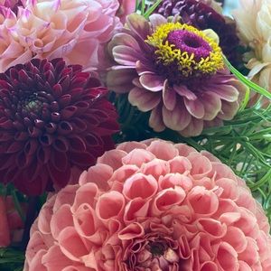 Meet your Posher, Brennan